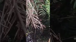 perhatikan..