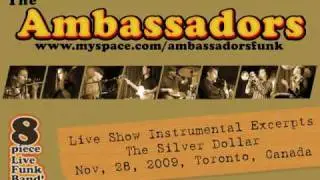 The Ambassadors 