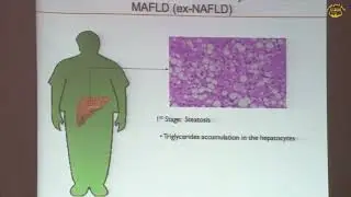 Rol of the gut microbiota in liver diseases attestation from microbiota transplants in germfree anim