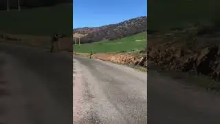Wild Boar Charges Straight at Hunter &ndash; Intense Close Call! Part 2