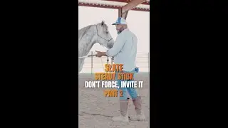 How I Desensitize a Fearful Horse | Steady Stick Tip