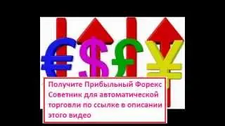 FOREX TOP