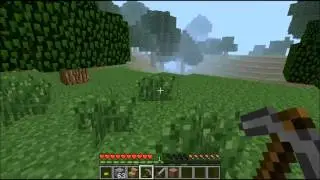 Minecraft Randomness!!