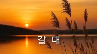 갈대 🌾 | Noni Trot Official 🎶