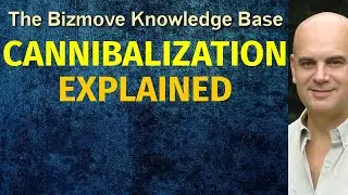 Cannibalization Explained | Management & Business Concepts