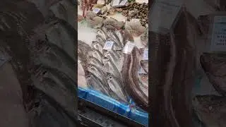 Leeds Fish Market #shorts #fishmarket #market #england #fish #travel #shortsfeed #unitedkingdom #uk