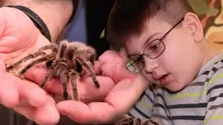 &lsquo;Bugs rule the world&rsquo; at Insectropolis in Toms River, New Jersey