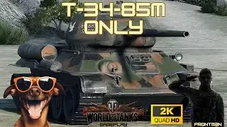 T-34-85M... ONLY 😊 World of Tanks live gameplay #havefun #gaming #livegameplay
