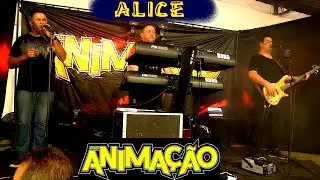 ALICE-BANDA ANIMA&Ccedil;&Atilde;O-Autores: Ivar David Costa / Wolgang Jass / Wollf Ekkehardt Stein.
