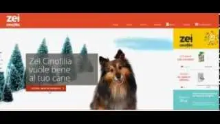 Zei Cinofilia - Come Acquistare
