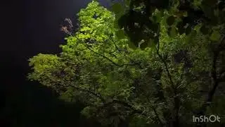 Beauty of the rain #forypage #science #onebillionsouls #love #trend #water #unfrezzmyaccount 