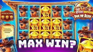 MAX WIN?! ЗАКРЫЛ 2 ПРОХОДКИ В THE DOG HOUSE DOG OR ALIVE / ЛЕГЕНДАРНЫЙ ЗАНОС / ЗАНОСЫ НЕДЕЛИ!!
