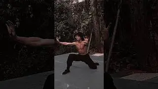 HORSE STANCE SHAOLIN KUNG FU DEMONSTRATES || BODY STRENGTH EXERCISE #kungfu #fitness