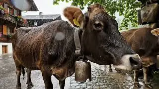 Rainy Day in Switzerland’s Most Beautiful & Soulful Villages 🇨🇭 | Relaxing 4K Walking Tour 🌧️