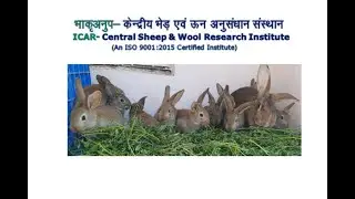 Introduction to Rabbitry  முயல் வளர்ப்பு ஓர் அறிமுகம்   Dr AS  Rajendiran ,ICAR-CSWRI