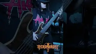 Necrophagist - Ignominious & Pale bass cover #techdeath #technicaldeathmetal #metalbass