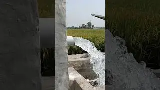 5hp solar water pump #solar #agriculture #solarpump #electrical
