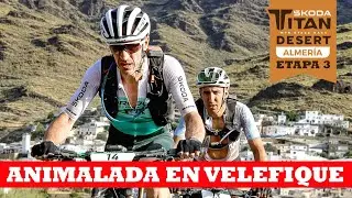 Etapa reina, animalada en Velefique | Etapa 3 - Škoda Titan Desert Almería | Ibon Zugasti