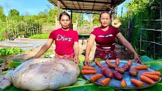 Beef Honeycomb Tripe Curry Recipe | Big Beef Stomach ASMR Cooking