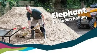 Elephant Takes Beach Holiday [Paignton Zoo]