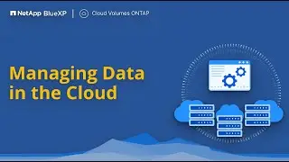 NetApp Cloud Volumes ONTAP - Managing Data in the Cloud