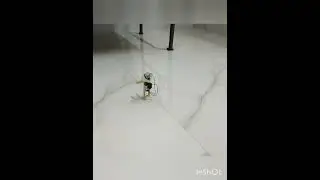 #robot#diy activity#bhoom bhoom#robotics#children fun at home#summer vacation#hyderabad#