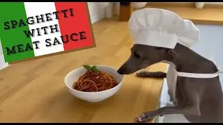 [Recipe]Making an easy & delicious spaghetti with pet chef. #dog #greyhound