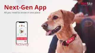 Furbit Features...