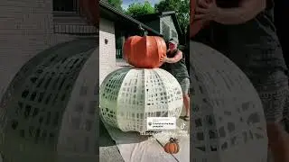 Giant pumpkin diy