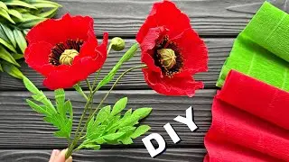 Amazing Idea Decoration! How to Make Poppy Crepe Paper Flower DIY Ideas Crafts