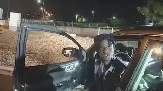 Police expert weighs in on man's traffic-stop beating