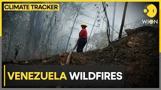 Wildfires hit Venezuela during climate driven drought | WION Climate Tracker