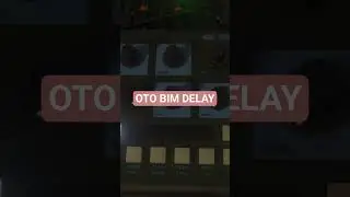 OTO BIM DELAY
