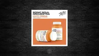 Premiere: Sonic Soul Orchestra Ft Phillip Ramirez - Happy People (Extended Mix) - Tinted Records