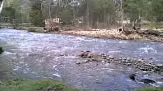 Delatite River at Carters Rd, Sawmill Settlement