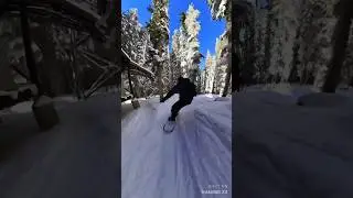 Keystone Trees 🏂🌲 #snowboarding #keystone #colorado #powder #treeruns #insta360