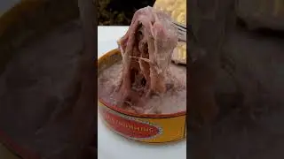 1 YEAR OLD EXPIRED SURSTR&Ouml;MMING