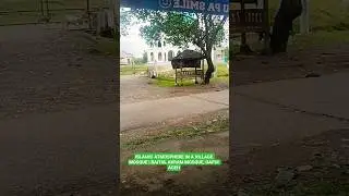 ISLAMIC ATMOSPHERE IN A VILLAGE MOSQUE | BAITUL AKRAM MOSQUE, GAPUI ACEH
