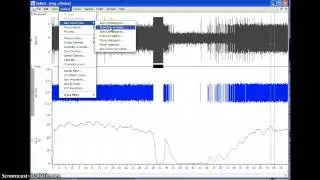 Rhyhmical neuron (2)