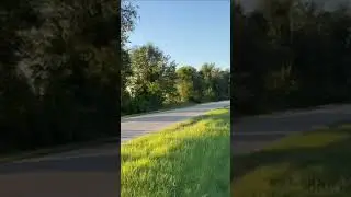 Stock 392 Scatpack vs Built Camaro SS #mopar #chevy #camaro #digs