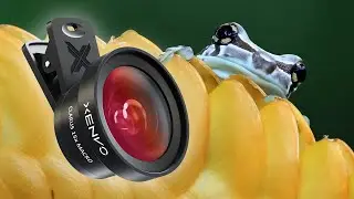 Pro Lens Kit for iPhone and Android, Macro and Wide Angle Lens with LED Light and Travel Case Black