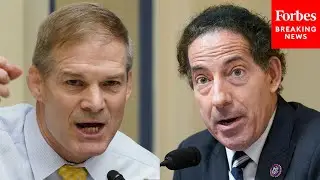 'Everybody's Always Violating Your Rights'; Raskin, Jordan Clash In Contentious House Hearing