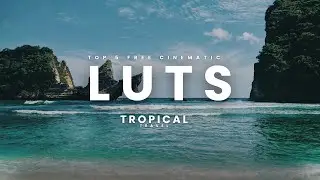 The 5 Best Free Cinematic LUTs 2025