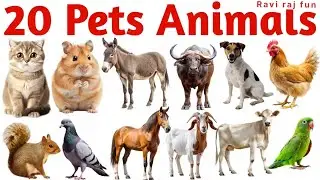 20￼ पालतू￼ जानवरों के नाम 20 animals names Hindi English luring 