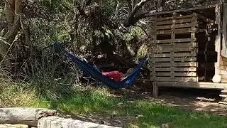 Man Relaxing on Hammock Crashes on Ground When Wall Collapses - 1496297