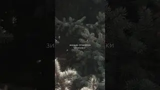 мобильные фото отпечатки моей зимы