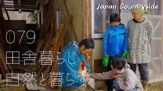 【自給自足の田舎暮らし】鶏を絞めて食べる（butcher a chicken）