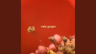 Vato Guapo