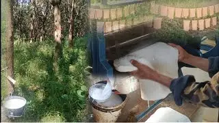 Rubber rolling bol den a process chomcha ana ve khom kt ute ong huys