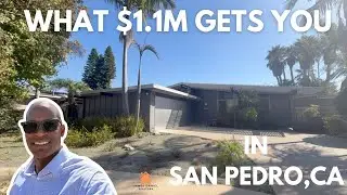 Take a Tour Inside This Rare Mid Century Modern San Pedro CA!